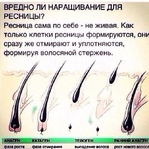 Жизнь современной женщины. Советы для женщин До ужаса красивы:15 шокирующих пластических операций