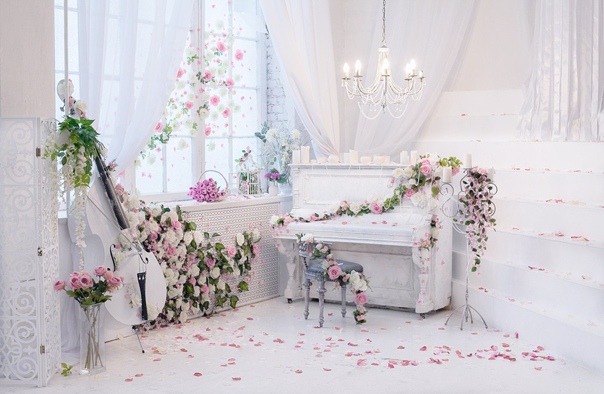 Преимущества фотосессии в профессиональной фотостудии