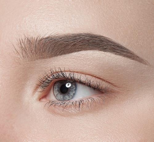 Коррекция и окрашивание бровей обучение. Архитектура бровей: четко по линеечке