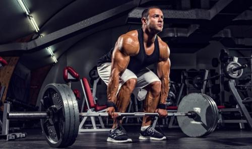 Упражнения для мышц спины. Анатомия мышц спины