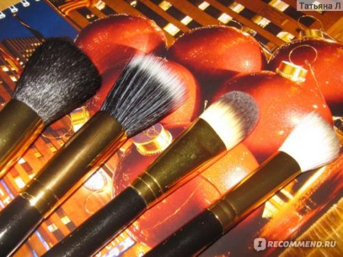 Набор кистей для макияжа MAC 12 штук. Отличные недорогие кисти из синтетики и натурального ворса
