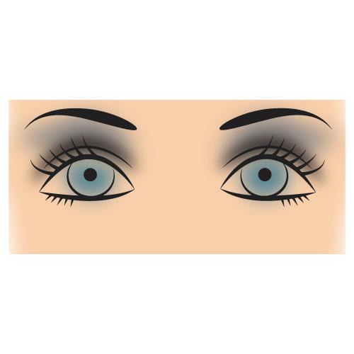 Глаз падающий по горизонтали. Как выполнить макияж в соответствии с расположением глаз относительно их оси