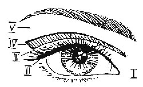 Как красить глаза яркими тенями. Основные техники нанесения теней