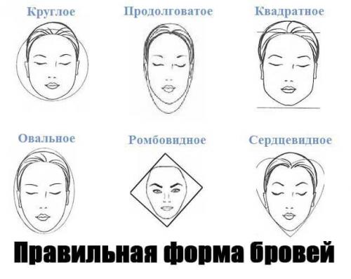 Что говорят о человеке его брови. Характер человека по форме бровей