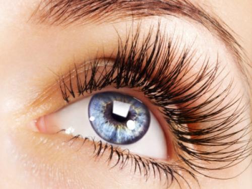 Естественное обновление ресниц. Как долго отрастают ресницы после выпадения и как ускорить этот процесс