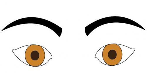 Прямые брови характер мужчины. Что брови могут рассказать о характере мужчины!