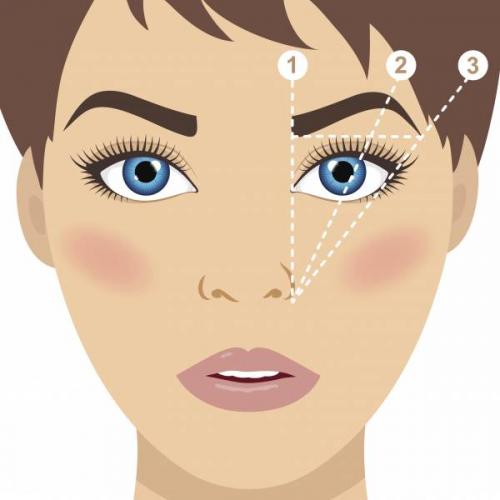 Как правильно красить брови тенями для бровей. Как накрасить брови тенями: поэтапная инструкция