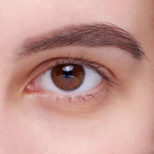 Как правильно красить брови тенями для бровей. Как накрасить брови тенями: поэтапная инструкция