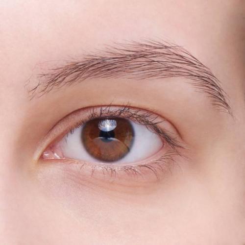 Как правильно красить брови тенями для бровей. Как накрасить брови тенями: поэтапная инструкция