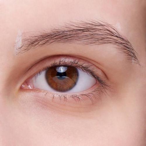 Как правильно красить брови тенями для бровей. Как накрасить брови тенями: поэтапная инструкция