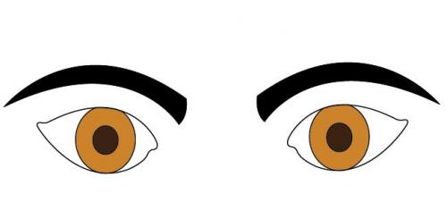 Прямые брови характер мужчины. Что брови могут рассказать о характере мужчины!