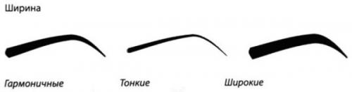 Брови на лице и их значение. Брови разной ширины