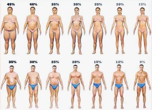 Как убрать живот и бока в домашних условиях за короткий срок. Можно ли убрать живот и бока за короткий срок