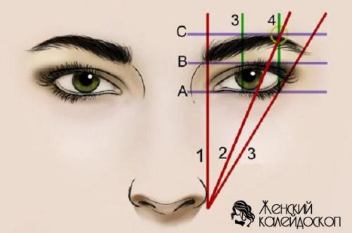 Как красить глаза карандашом, чтобы они казались больше. Как красить глаза, чтобы они казались больше?
