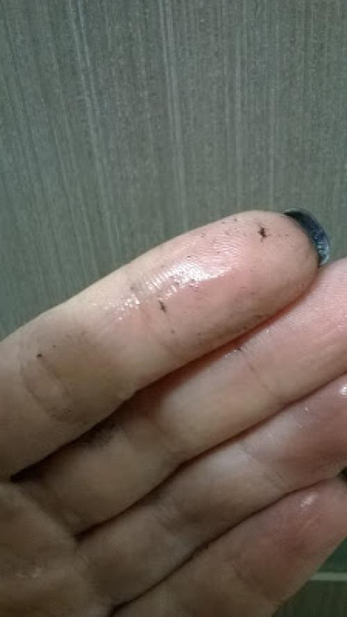 Sensai тушь для ресниц разделяющая и удлиняющая 38 c. Тушь для ресниц Kanebo Sensai Mascara 38 С Separating&Lengthening - я ожидала большего.