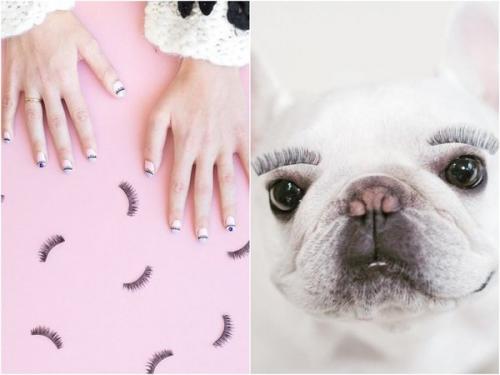 Полезные посты про наращивание ресниц. Вся правда о наращивании ресниц: Развенчиваю мифы и делюсь личным опытом