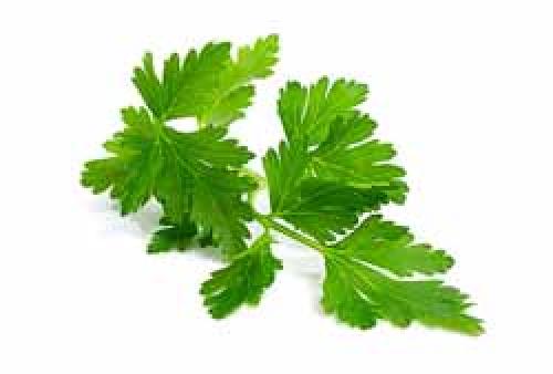 Маска для лица с новокаином. Маска из полисорба.