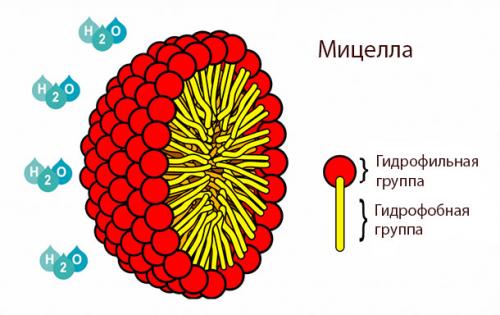 Из чего состоит мицеллярная вода состав. Что такое мицеллы