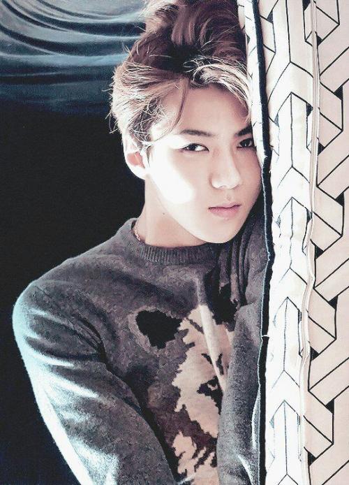 Идеальный тип девушек айдолов. Идеальные типы айдолов :sparkles: