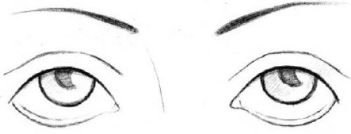 Форма глаз физиогномика. Соотношение глаз человека с глазами животных