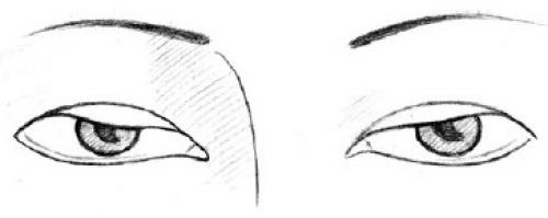 Форма глаз физиогномика. Соотношение глаз человека с глазами животных