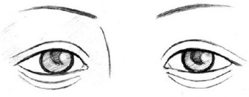 Форма глаз физиогномика. Соотношение глаз человека с глазами животных