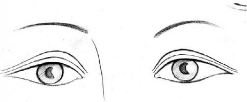 Форма глаз физиогномика. Соотношение глаз человека с глазами животных