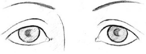 Форма глаз физиогномика. Соотношение глаз человека с глазами животных