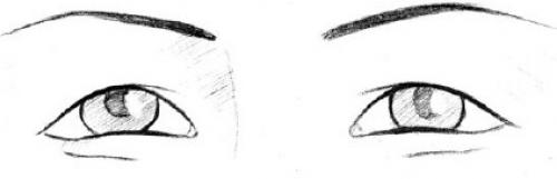 Форма глаз физиогномика. Соотношение глаз человека с глазами животных