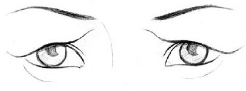 Форма глаз физиогномика. Соотношение глаз человека с глазами животных