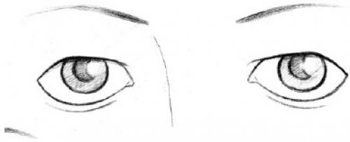 Форма глаз физиогномика. Соотношение глаз человека с глазами животных