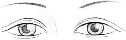 Форма глаз физиогномика. Соотношение глаз человека с глазами животных