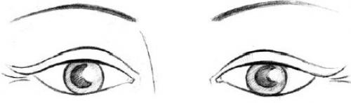 Форма глаз физиогномика. Соотношение глаз человека с глазами животных