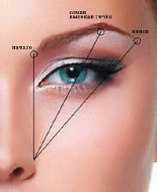 Типы лица и формы бровей. Основные типы лица, их характеристика 03