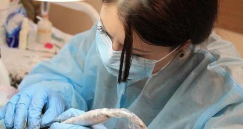 Тонирование бровей, что это такое. Теневая растушевка бровей: отзывы, фото до и после