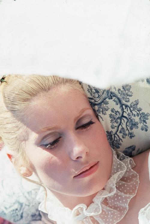 Катрин Денев стиль. Катрин Денев: что делает женщину элегантной