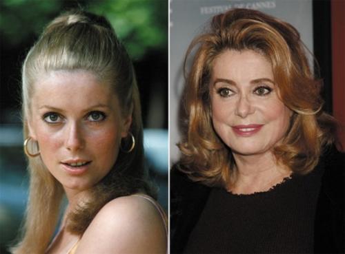 Катрин Денев рост вес. Диета Катрин Денев: меню, рецепты, секреты стройности и красоты