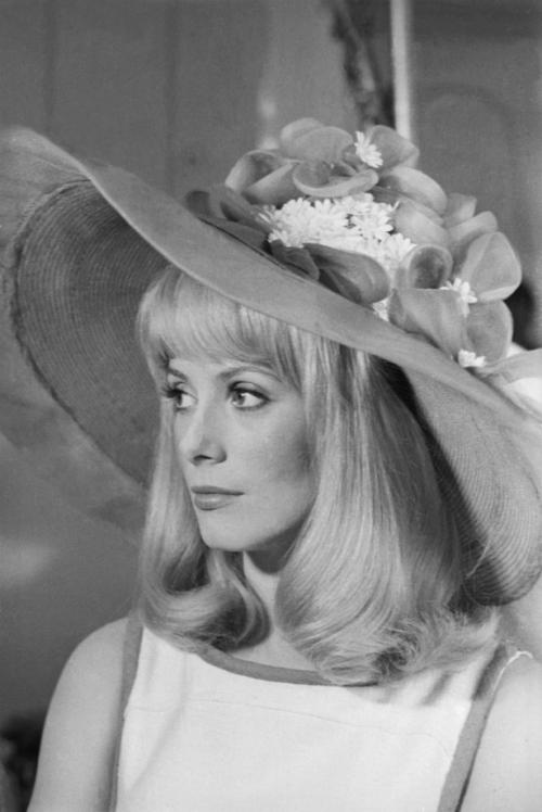 Катрин Денев стиль. Катрин Денев: что делает женщину элегантной