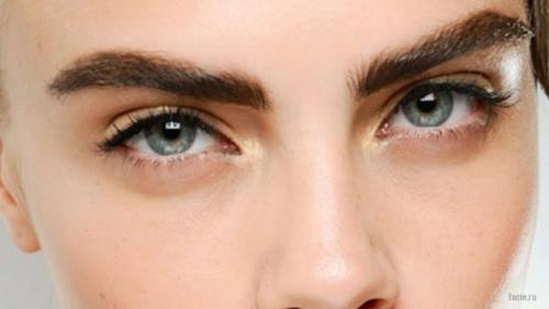 О важности бровей. Интересные сведения о бровях: зачем человеку брови