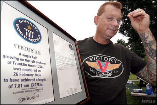 О важности бровей. Интересные сведения о бровях: зачем человеку брови