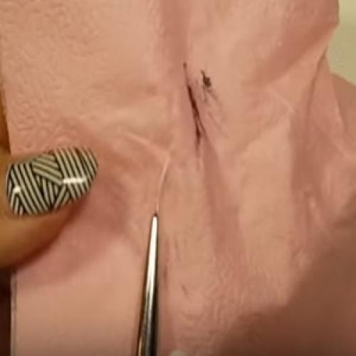 Как ухаживать за кистями для маникюра. НОВАЯ КИСТЬ. ПОДГОТОВКА УХОД РАБОТА ХРАНЕНИЕ