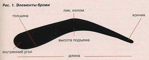 Трафарет для бровей в натуральную величину распечатать. Как сделать и распечатать трафареты для бровей