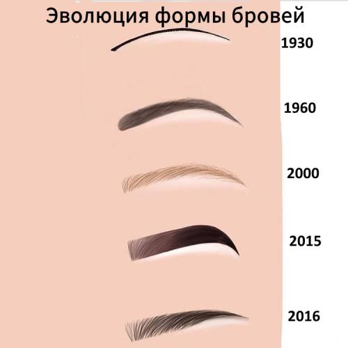 Факты о мужских бровях. Что такое брови