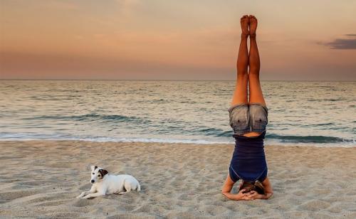 Падение из ширшасаны. Ширшасана, или стойка на голове