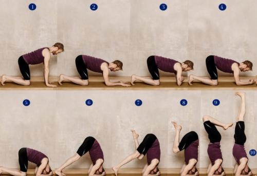 Падение из ширшасаны. Ширшасана, или стойка на голове