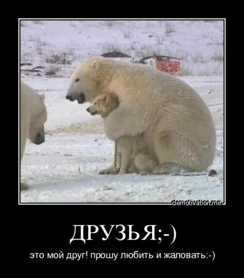 Что означает выражение Прошу любить и жаловать. Почему говорят: «Прошу любить и жаловать»!