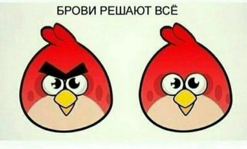 Цитаты про брови