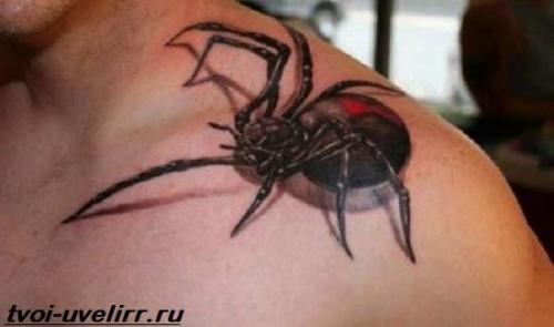 Тату на ключице для девушек. Кому, что выбрать? 26