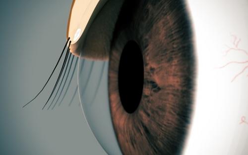 За сколько дней вырастают ресницы. Сколько растут ресницы после наращивания? 05 За сколько дней вырастают ресницы. Сколько растут ресницы после наращивания? 05