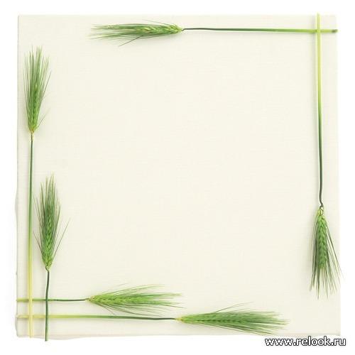 Брови - это рамка нашего лица.